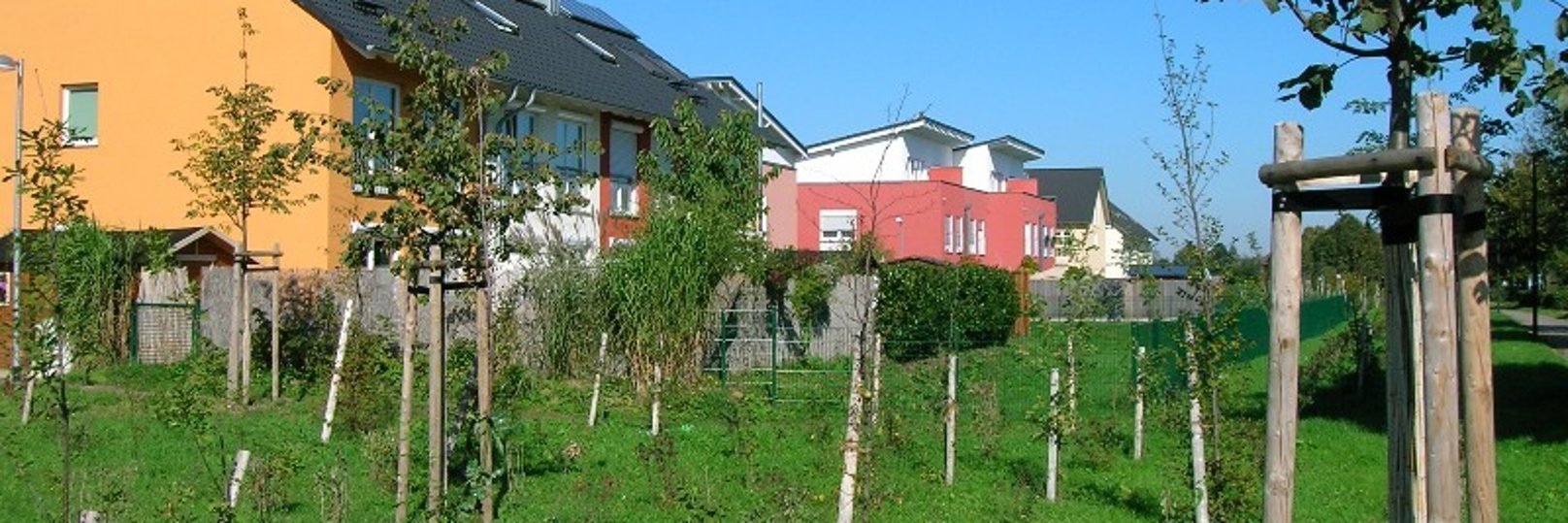 Foto: Ausgleichsfläche Krausacker Foto: Ausgleichsfläche Krausacker