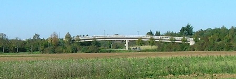 Freiraum im Stadtgebiet