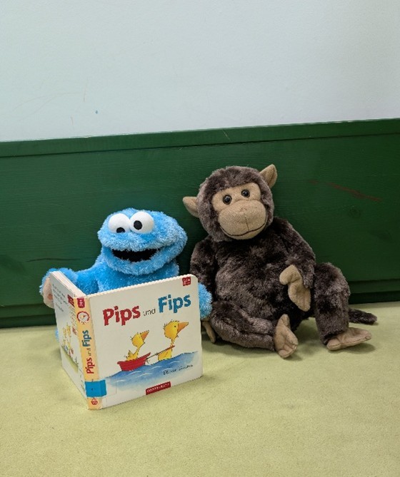 Zu sehen sind zwei Kuscheltiere die in der Bibliothek zusammen ein Buch lesen.