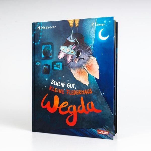 Zu sehen ist das Cover des Bilderbuchs mit einer schlafenden Fledermaus.