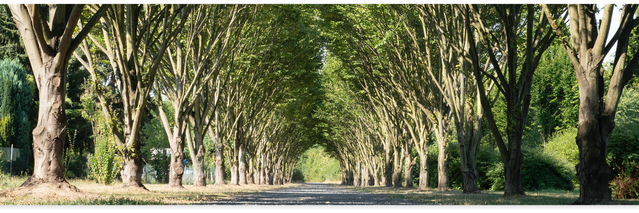Troisdorf Oberlar Allee Troisdorf Oberlar Allee