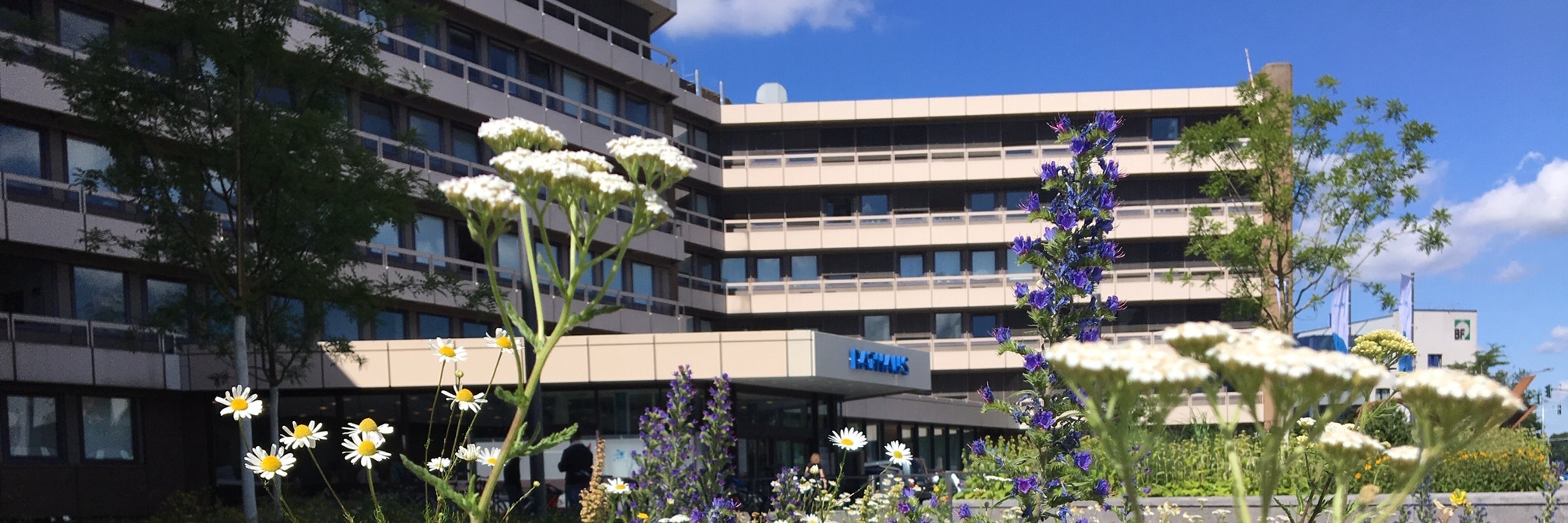 Rathaus Sommer  Rathaus Sommer