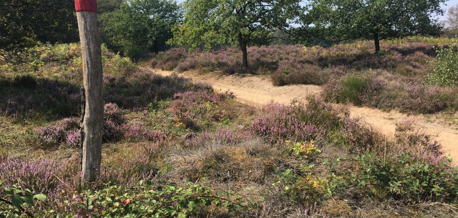 Wahner Heide Wege Kennzeichnungen Markierungen