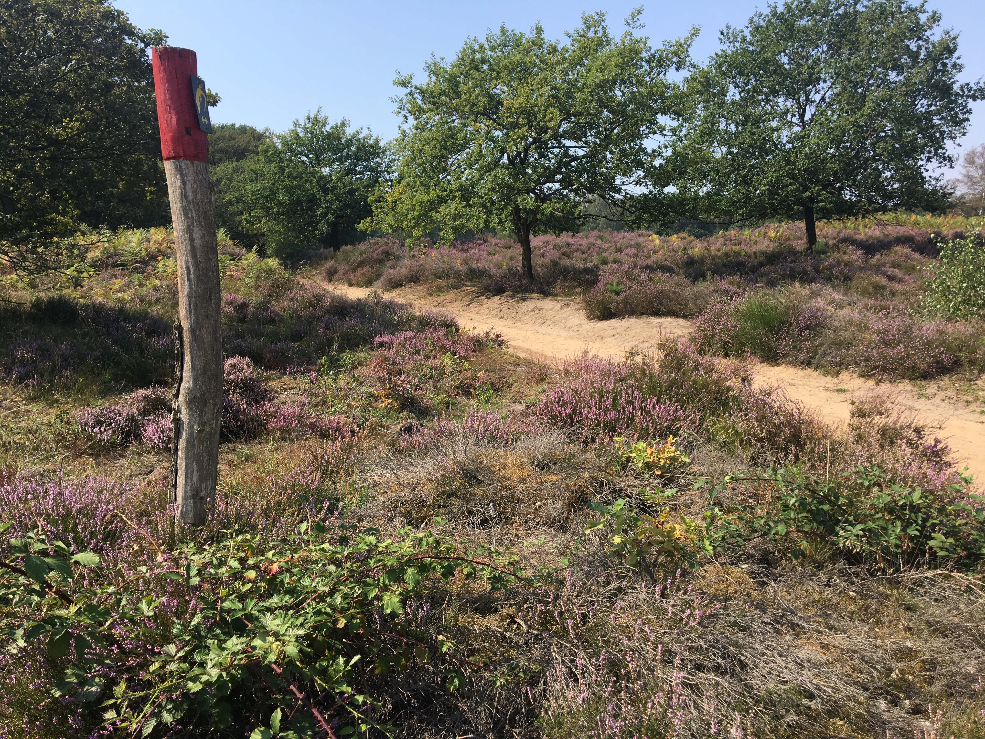 Wahner Heide Wege Kennzeichnungen Markierungen