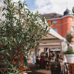 Olivenbaum vor der Burg Wissem während dem Gourmetsommer