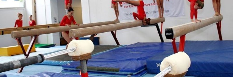 Turnerinnen in einer Sporthalle