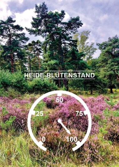 Das Heidebarometer steht bei 0%