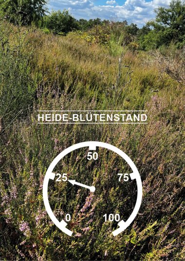Das Heidebarometer steht bei 0%