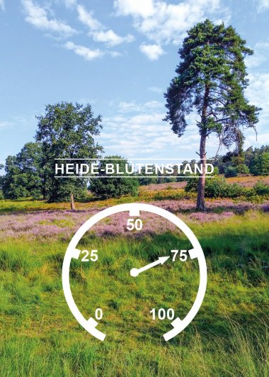 Das Heidebarometer steht bei 0%