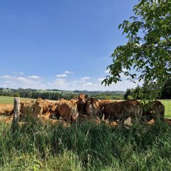 HeideRider_CarmenDoehnert_Rhein-SiegTourismus2