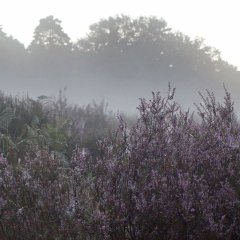 HeideRider_MarenPussak_DasBergische
