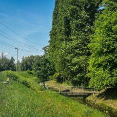 Der Mühlengraben am Siegdeich
