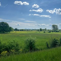 Die Siegauen. Im Hintergrund das Siebengebirge