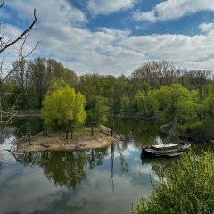 Aalschokker im Altarm der Sieg