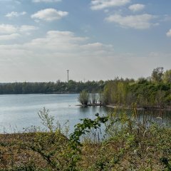 Mondorfer See