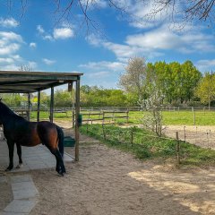 Pferdewiese mit Stall