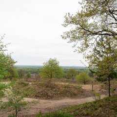 Wahner Heide