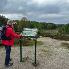 Ein Mann steht in der Wahner Heide und schaut auf einen Plan