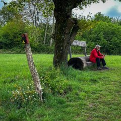 Eine Wegemarkierung an einer Bank unter einem Baum