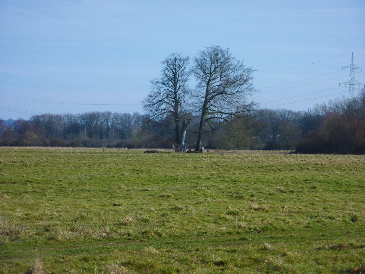 Wahner Heide