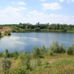 Die Spicher Seen eingebettet in Wiesen und Felder