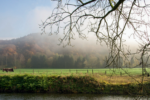 Landschaft mit sich verziehendem Nebel