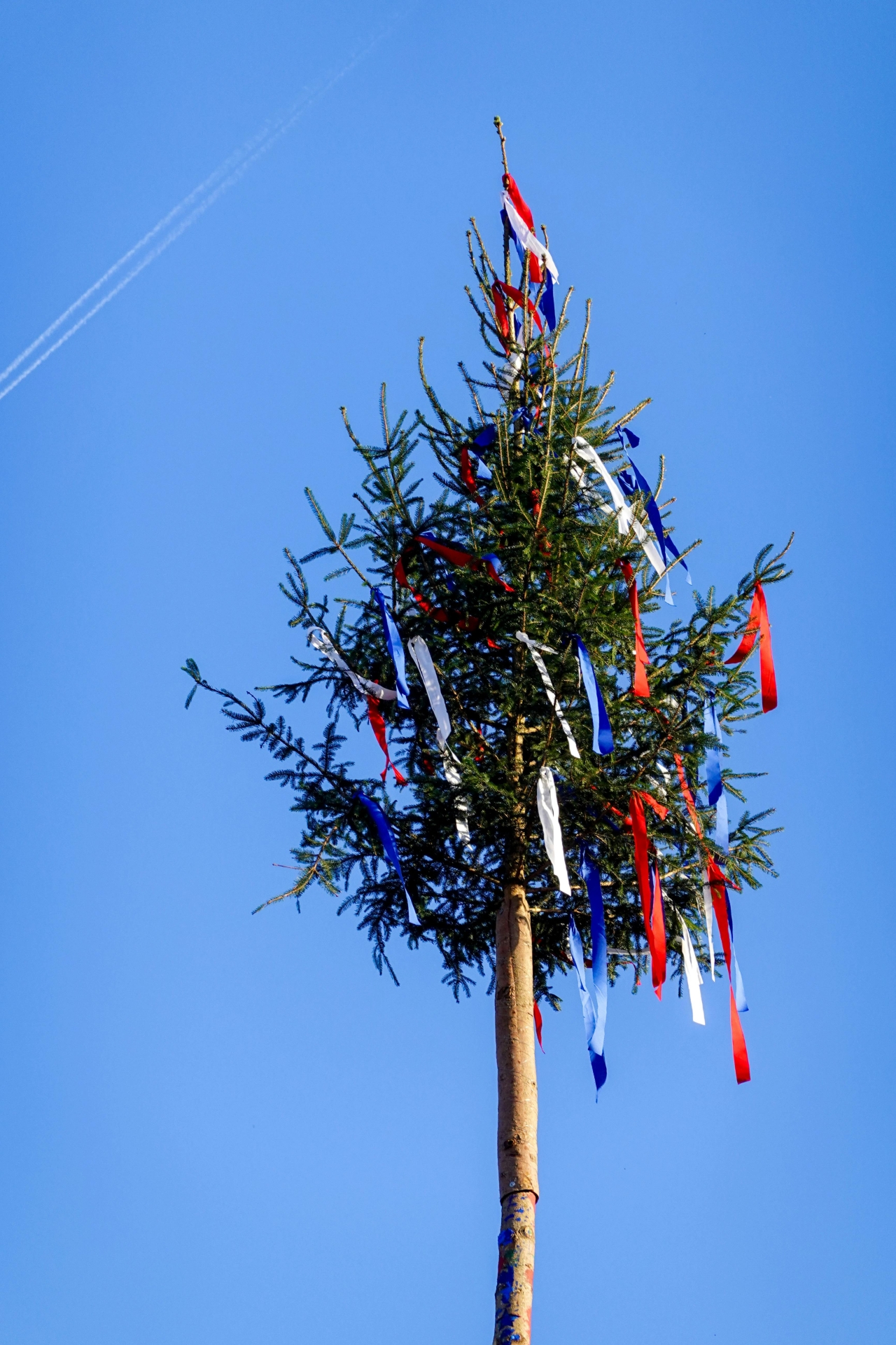 Maibaum