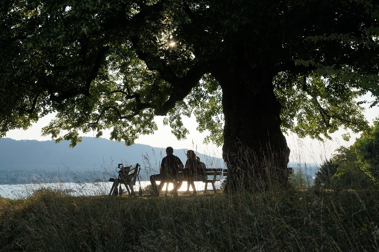 Menschen sitzen unter einem Baum am See