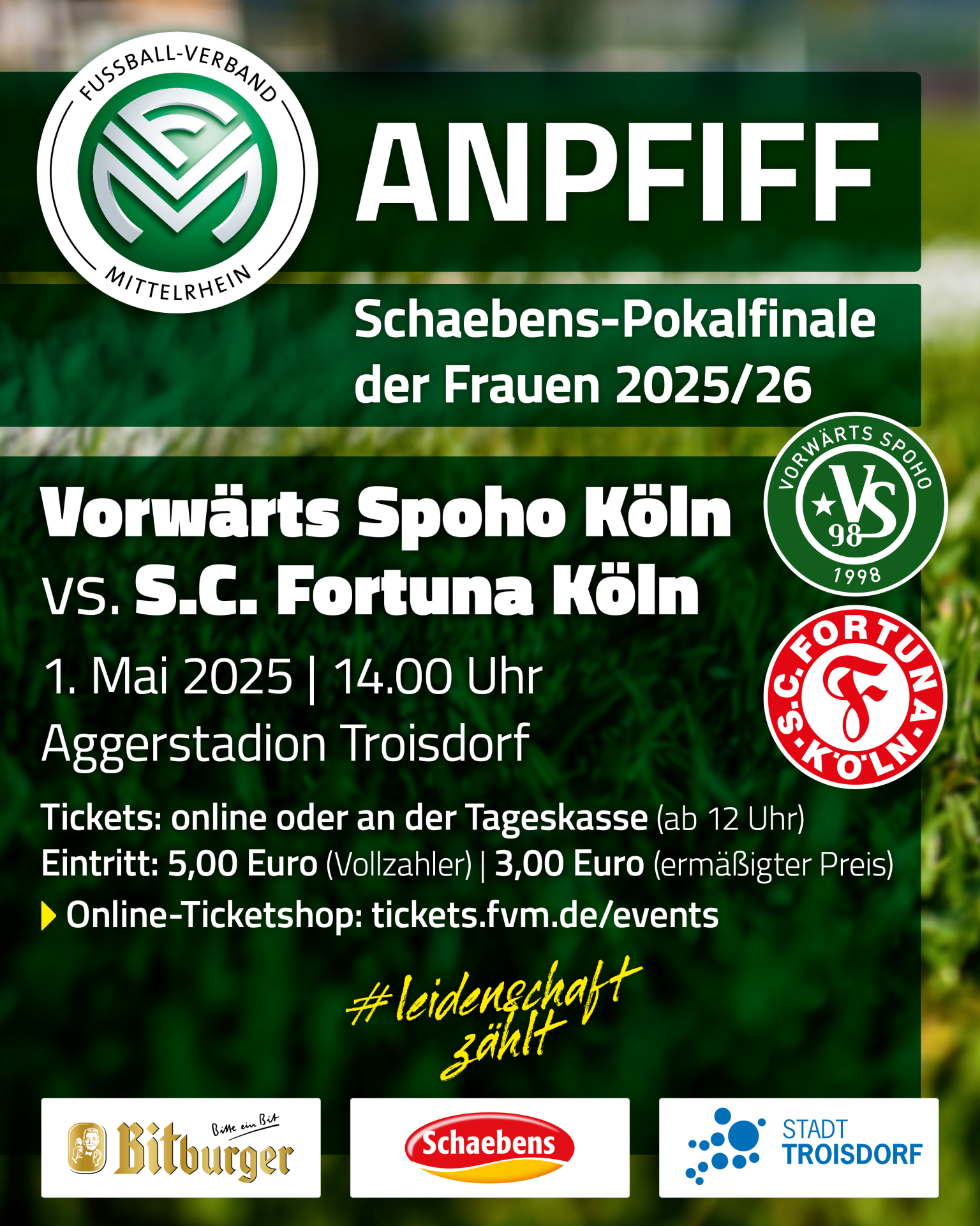 Plakat zum Pokalfinale (Schaebens) Frauenfußball