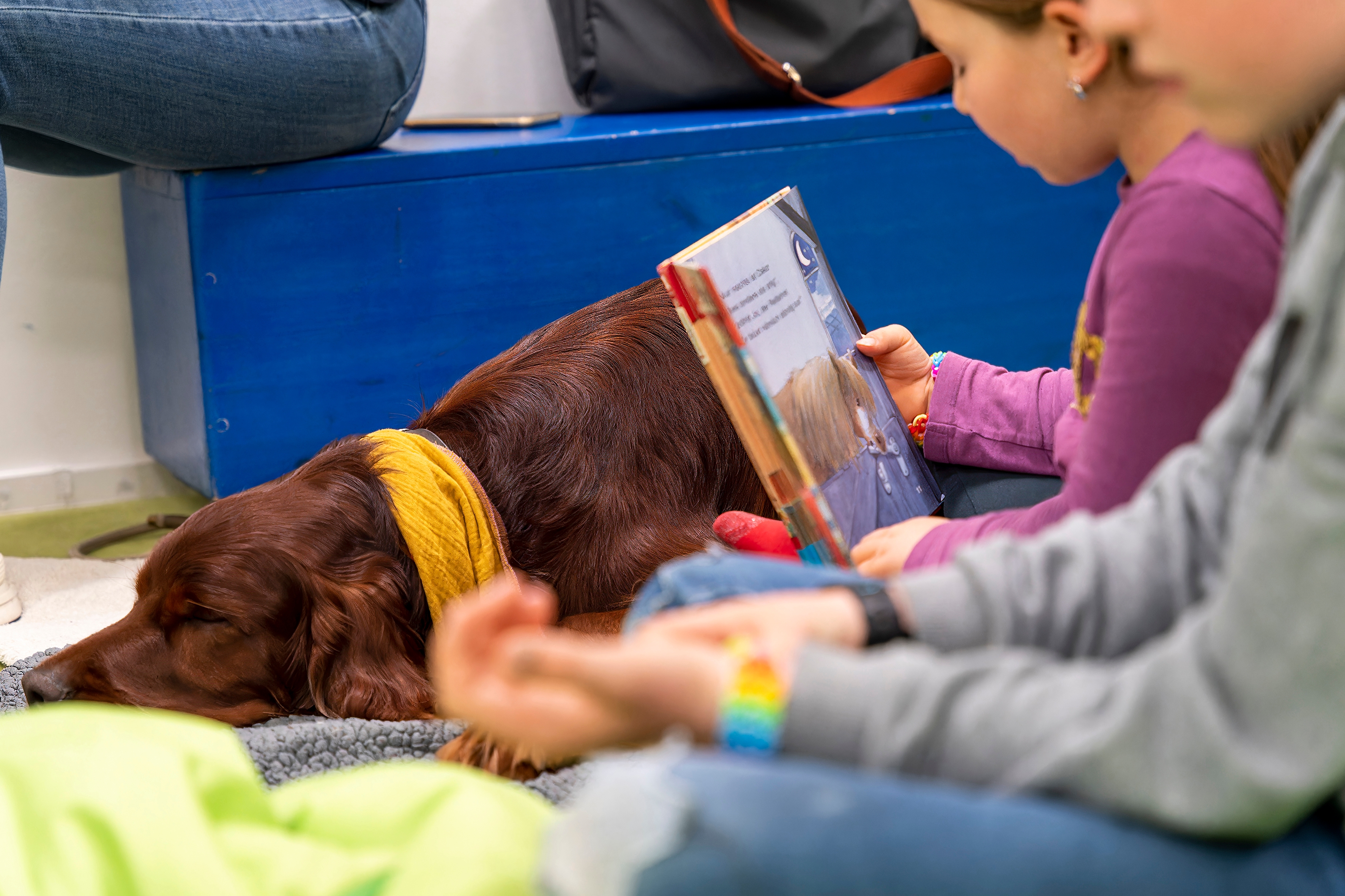 05 - Carla (6) liest und streichelt Milow