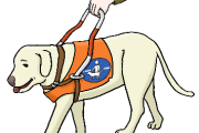 Blindenhund
