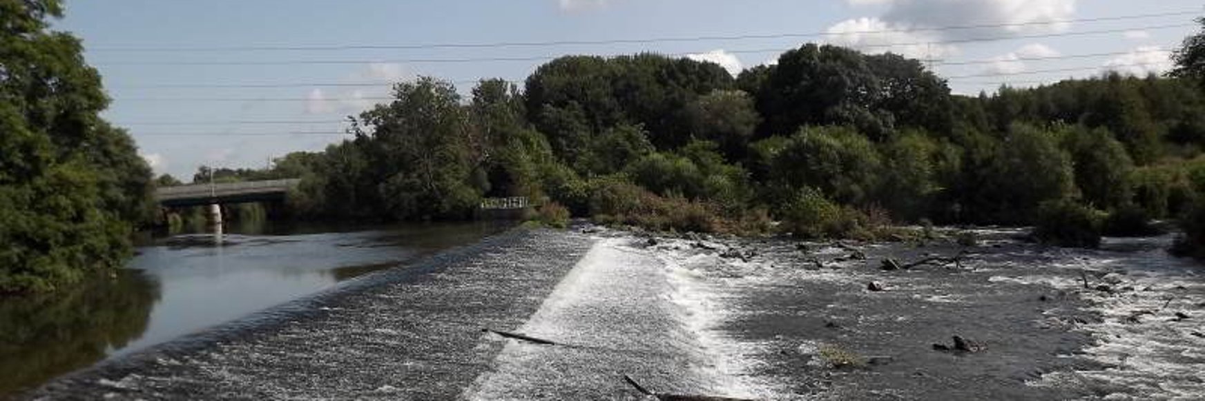 Das Aggerwehr ist Naturschutzgebiet
