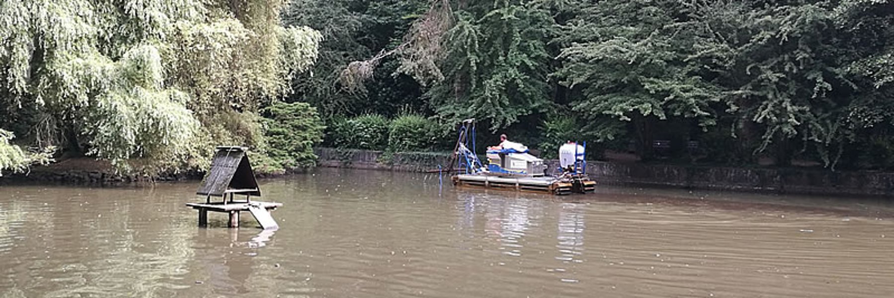 Reinigung des Teichs am Vogelpark