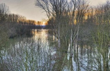 Hochwasser an der Sieg