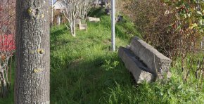 Gratwanderung Willy-Brandt-Ring Gratwanderung Willy-Brandt-Ring