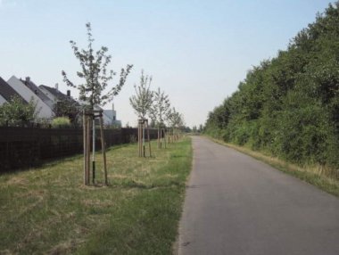 Ausgleichsfläche am Wegesrand