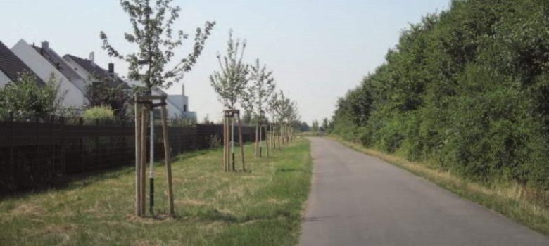 Ausgleichsfläche am Wegesrand