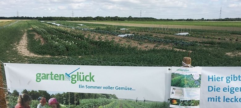 "Gartenglück" - Ein Sommer voller Gemüse