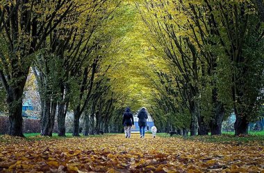 Stadtteilpark Oberlar