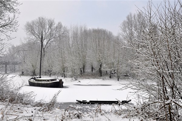 Winteridylle vor dem Fischerei-Museum: Der alte Aalschokker auf dem Diescholl, dem Altarm des Rheins. Foto: S. Klinke.