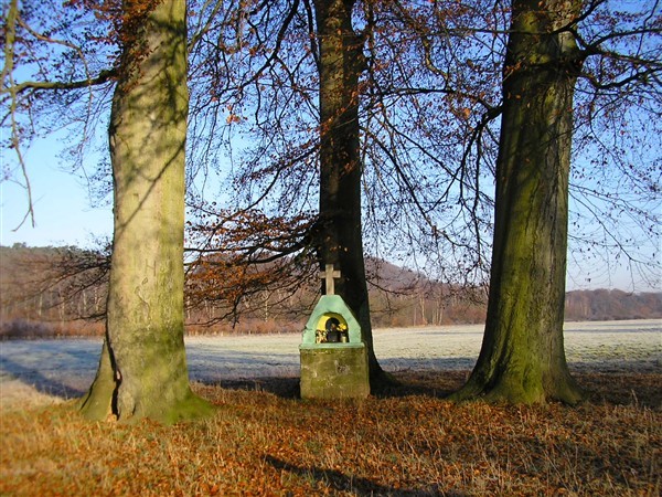 Gemeinsam die Wahner Heide entdecken!