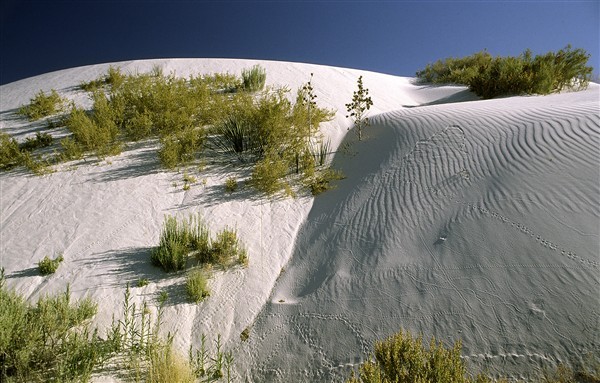 Foto: "White Sands" von Peter Berlinghof.