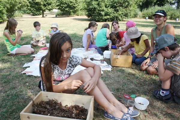 Blick in die Unterwelt: Die Kinder schauten im Stadtteilpark FWH genau hin, angeleitet durch Astrid Mittelstaedt (rechts).