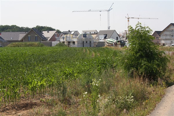 Noch ausreichend Platz für einen Flugplatz am Neubaugebiet Im Schonsfeld.