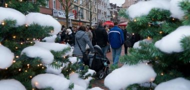 Winterwald Troisdorf 2010 Winterwald Troisdorf 2010