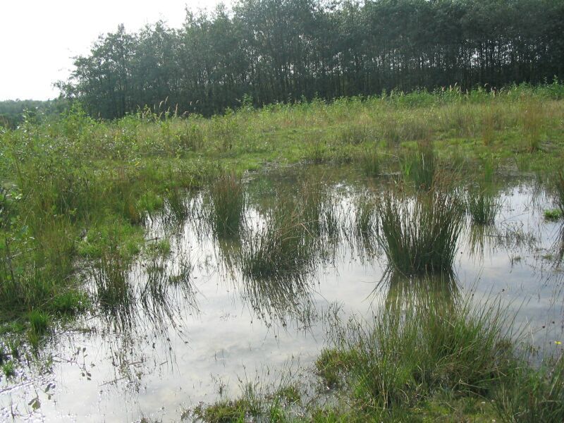 Viel Spaß bei Ausflügen in die idyllische Wahner Heide.