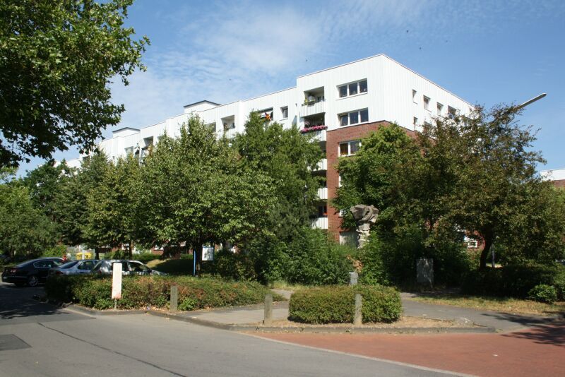 Bald ist Frühling: Die Bäume in der Staße Zum Altenforst müssen gelichtet werden.