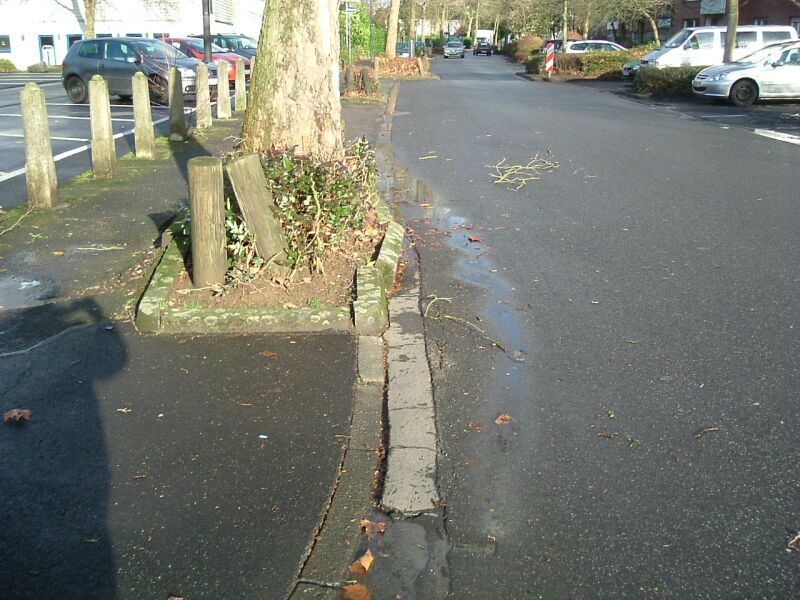 Zum Altenforst: Kranker Baum und kaputte Einfassung müssen ausgetauscht bzw. erneuert werden.