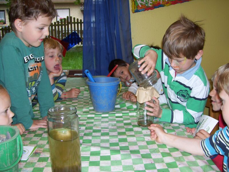 Konzentriert und begeistert bei der Sache: Altenrather Kinder im Haus der kleinen Forscher mit ihren Wasserproben.