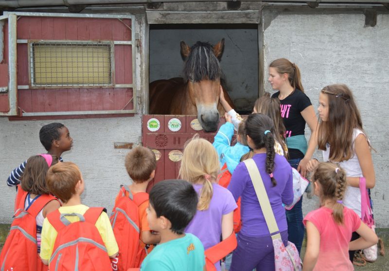 Troisdorfer Kinder besuchten einen Bauernhof und freuten sich über die Tiere.